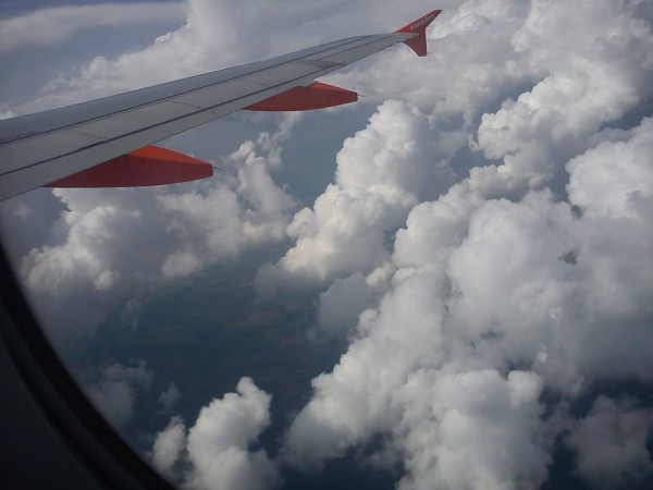 flight